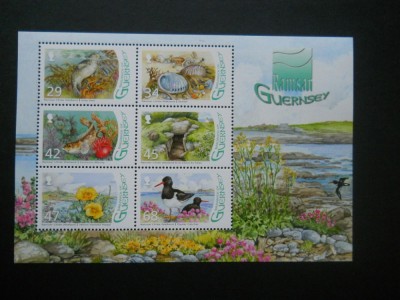 CN BLOC GUERNSEY foto