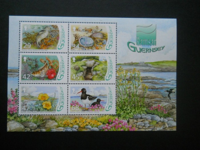 CN BLOC GUERNSEY