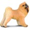 Chow Chow - Collecta