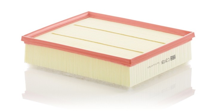 Filtru aer Mann-Filter C29036