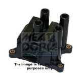 Meat &amp;amp; Doria bobina de inductie