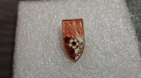 Insigna FC Arges