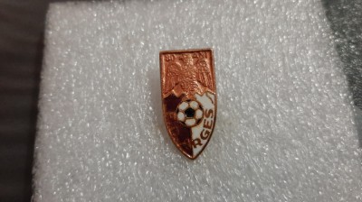Insigna FC Arges foto