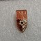 Insigna FC Arges