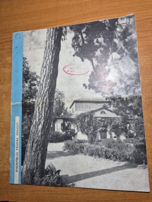 ansamblul feudal golesti - din anul 1967 foto