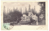 5031 - SINAIA Corpul de Garda, Romania, Litho - old postcard - used - 1902 - TCV, Circulata, Printata