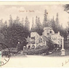 5031 - SINAIA Corpul de Garda, Romania, Litho - old postcard - used - 1902 - TCV