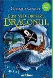 Cumpara ieftin Cum sa fii pirat. Seria Cum sa ti dresezi dragonul. Volumul 2/Cressida Cowell