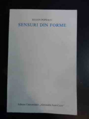 Sensuri Din Forme - Iulian Popescu ,542920 foto