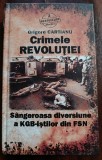 Crimele revolutiei - Sangeroasa diversiune a KGB-istilor din FSN