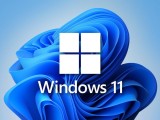 Cumpara ieftin DVD-uri noi Windows 11 Pro pe 64 de biti, licenta originala RETAIL, Microsoft