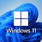 Stick-uri USB bootabile Windows 11 Pro pe 64 de biti, licenta originala RETAIL