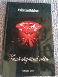 Taina sagetand rubin, Valentina Balaban, 2017, 86 pag