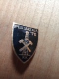 Insigne (3) Industrie IPEG Suceava 1972
