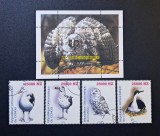 Republica Democratică Congo (R.D. Congo) 1998 - Seria Completă Păsări și Bufnițe MNH - Cod: -SW13