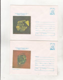 Bnk ip Colectia de mineralogie estetica Ocna de fier - 1983, Dupa 1950