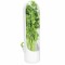 Recipient Mercaton pentru Depozitarea si Mentionerea Proaspata a Ierburilor Aromate in Frigider, BPA Free, 25 x 6.5 cm, Alb