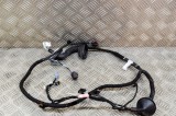 Cablaj ușă st&acirc;nga spate TESLA MODEL 3 2020 OEM: 3067965-00-A 15342856
