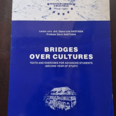 Bridges over Cultures. Texts and Exercises for Advanced Students (Second Year of Study) - Diana Iulia Nastasia, Sorin Nastasia