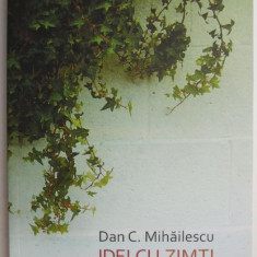 Idei cu zimti. Viata literara III (ianuarie 2007 – iulie 2008) – Dan C. Mihailescu