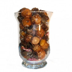 Vaza de sticla cu elemente naturale lacuite