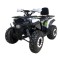 Atv 200cc NCX Angry 4T benzina 10&amp;quot; automata verde