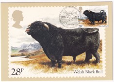 FILATELIE TEMATICA - PLIC MAREA BRITANIE FCD TEMATICA FAUNA TAUR