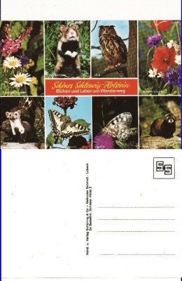 Ilustrata Germania-Plante si animale foto