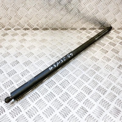 Amortizor haion dreapta TESLA MODEL X 2016 OEM: 1065669-00-A 10639441 foto