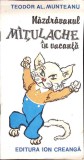 NAZDRAVANUL MATULACHE IN VACANTA-TEODOR AL. MUNTEANU-360943