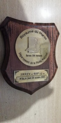 D16 12 - Placheta - tematica militara - armata din Maroc foto