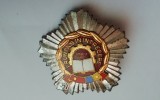 QW9 L 47 - Insigna - tematica comunism - Fruntas in intrecere - 1973