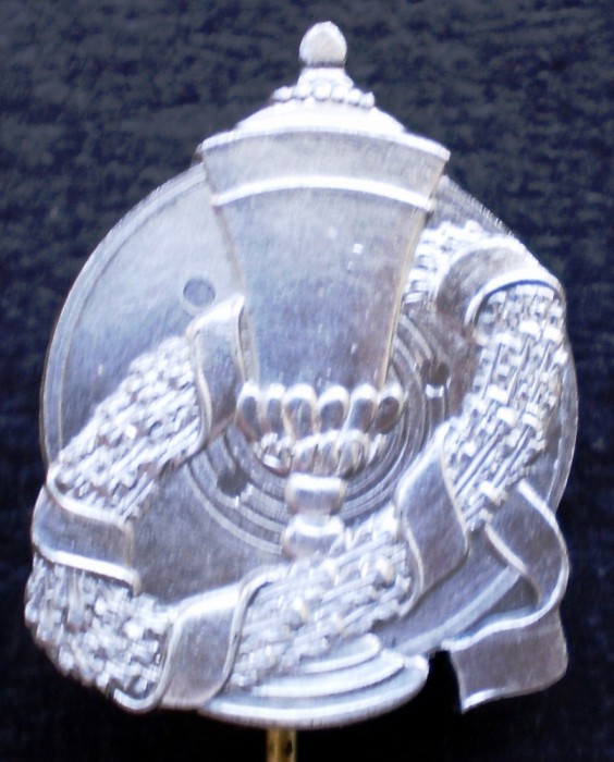 II.016 INSIGNA STICKPIN CUPA LAURI ARGINT