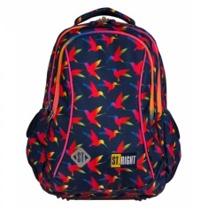 Ghiozdan pentru scoala cu 3 compartimente,model Rainbow Birds,29x17x39 cm