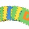 Covor din spuma tip puzzle, litere, antiderapant, termoizolant, pentru copii, impermeabil, 10 piese, spuma EVA, 29 x 29 x 0.8 cm dimensiune piesa