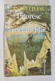 PITORESC SI MELANCOLIE . O ANALIZA A SENTIMENTULUI NATURII IN CULTURA EUROPEANA , EDITIA A II-A de ANDREI PLESU , 1992