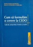 Cum sa formulam o cerere CEDO. Explicatii, jurisprudenta, formulare si modele - Diana-Olivia Hatneanu, Raluca Stancescu-Cojocaru (cateva sublinieri)