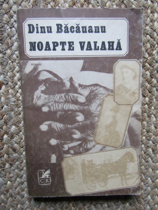 Noapte valaha - Dinu Bacauanu