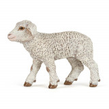 Figurina - Merinos Lamb | Papo