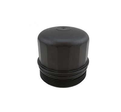 Carcasa Filtru ulei Bmw Seria 5 F10, F07, F11, Seria 6 F12, F13, F06, Seria 7 (F01, F02, F03, F04), X5 (E53; E70; F15, F85), X6 (E71, E72), 2007-2014 foto