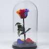 Trandafir Criogenat multicolor xl &Oslash;6,5cm in cupola 12x25cm