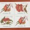 AUSTRALIA-FLORI-&#039;&#039;CARNET&#039;&#039;-MNH-NESTAMP