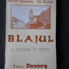 BLAJUL O ISTORIE UN TEXTE - TEODOR SEICEANU