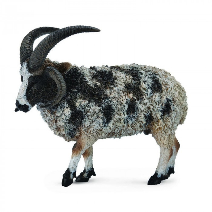 Figurina Jacob Sheep L Collecta, 8.4 x 7.6 cm