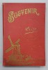 SOUVENIR DE DELFT- OLANDA - MINIALBUM DE FOTOGRAFIE , SFARSITUL SECOLULUI XIX