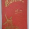 SOUVENIR DE DELFT- OLANDA - MINIALBUM DE FOTOGRAFIE , SFARSITUL SECOLULUI XIX