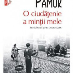 O ciudatenie a mintii mele - Orhan Pamuk