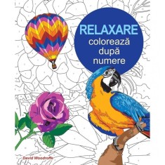 Relaxare. Coloreaza dupa Numere (Carte de colorat pentru adulti) - David Woodroffe foto