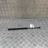 Amortizor haion st&acirc;nga FORD USA EXPLORER 2001 OEM: 3L24-7842105-AA 30273454