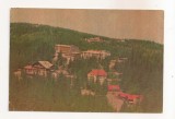 RF87 - Carte Postala - Paltinis, Jud. Sibiu, circulata 1982